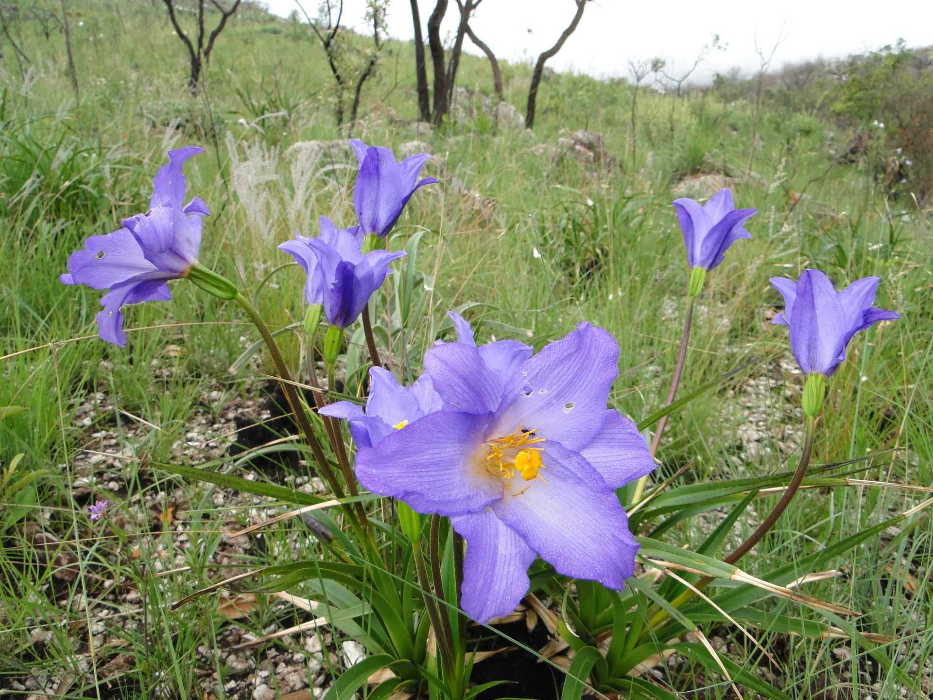 Parque Ecológico e Vivencial